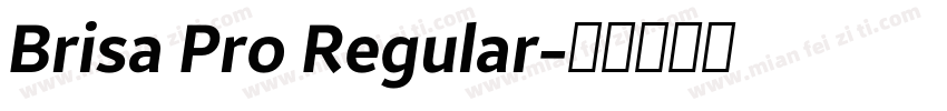 Brisa Pro Regular字体转换